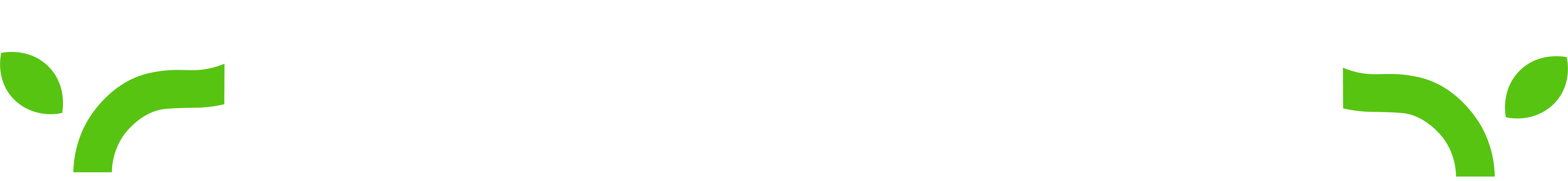 Hetomach logo